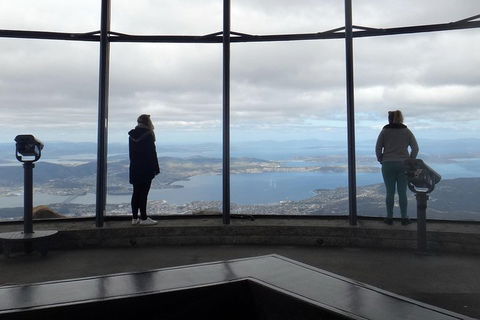 Kunanyi / Mt Wellington Explorer Bus - 2 Hour Return Tour - Sydney Tourism 1