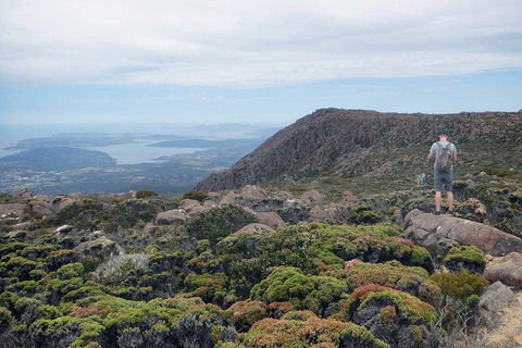Kunanyi / Mt Wellington Explorer Bus - 2 Hour Return Tour - Sydney Tourism 3