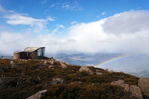 Kunanyi / Mt Wellington Explorer Bus - 2 Hour Return Tour - Sydney Tourism 5