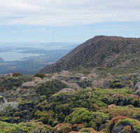 kunanyi/Mt Wellington Explorer Bus - One Way Tour - Sydney Tourism