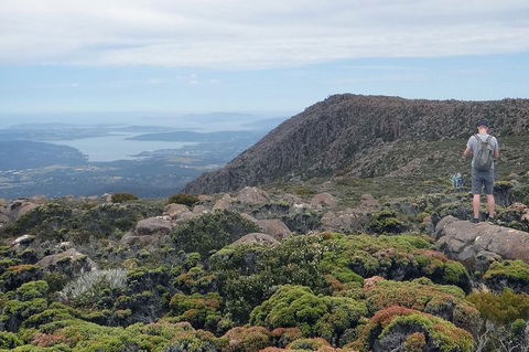 Kunanyi/Mt Wellington Explorer Bus - One Way Tour - Sydney Tourism 0