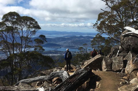 Kunanyi/Mt Wellington Explorer Bus - One Way Tour - Sydney Tourism 2