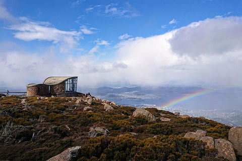 Kunanyi/Mt Wellington Explorer Bus - One Way Tour - Sydney Tourism 3