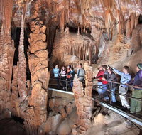 Private Tour Jenolan Caves  Blue Mountains in a day - Sydney Tourism
