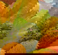 Private Half Day Tour Exclusive World Heritage Rainforest and Waterfall Tour from Cairns - Sydney Tourism