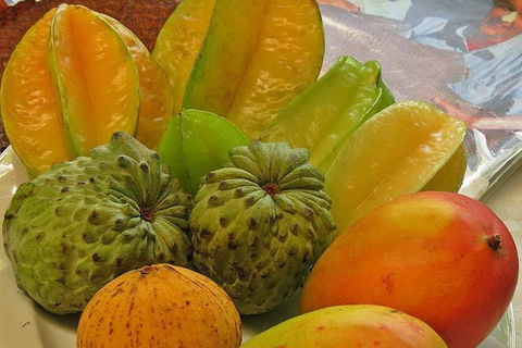 Cairns 4WD Waterfall And Rainforest Tour Including Kuranda Scenic Railway - Sydney Tourism 4