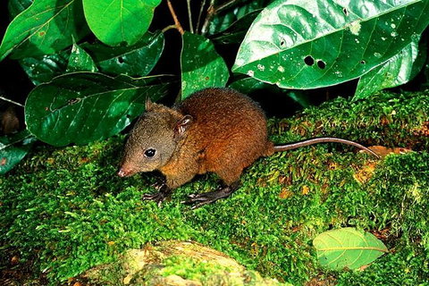 3-Day Small-Group Tour Of North Queensland With Pick Up - Sydney Tourism 0