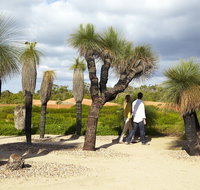 1 Day Exclusively Private Tour Of Phillip Island  The Penguin Parade - Sydney Tourism