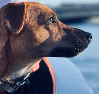 1.5-Hour Boat Rental in Melbourne - Sydney Tourism