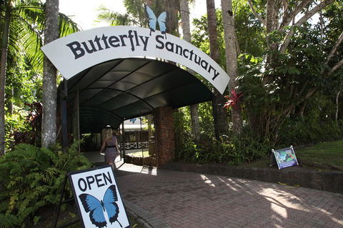 Kuranda Day Trip From Port Douglas Upgrade To Skyrail & Scenic Train Available - Sydney Tourism 0