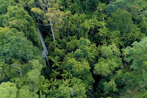 Natural Bridge, Skywalk And Mt Tamborine Adventure! - Sydney Tourism 2