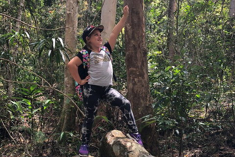 Natural Bridge, Skywalk And Mt Tamborine Adventure! - Sydney Tourism 3