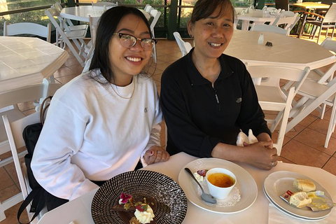 Natural Bridge, Skywalk And Mt Tamborine Adventure! - Sydney Tourism 5