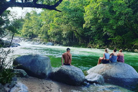 Afternoon Half-Day Daintree Rainforest And River Tour - Sydney Tourism 0