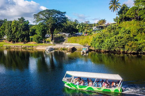 Afternoon Half-Day Daintree Rainforest And River Tour - Sydney Tourism 1