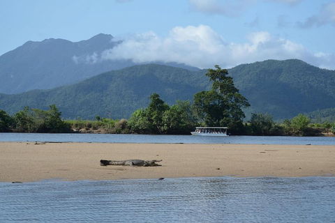 Afternoon Half-Day Daintree Rainforest And River Tour - Sydney Tourism 2