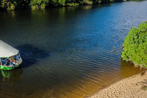 Afternoon Half-Day Daintree Rainforest And River Tour - Sydney Tourism 3
