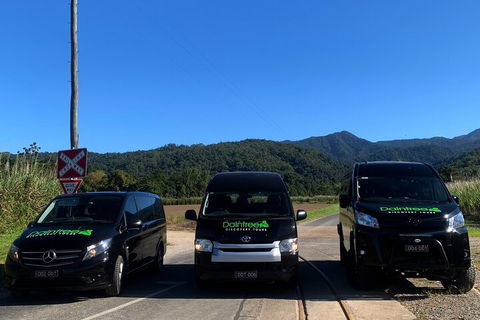 Afternoon Half-Day Daintree Rainforest And River Tour - Sydney Tourism 4