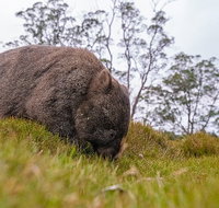 3-Day Cradle Mountain Photography Workshop - Sydney Tourism