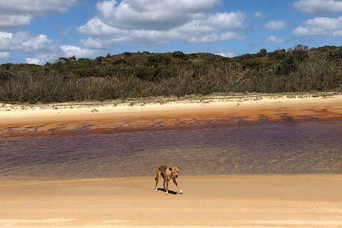 Pippies 3 Days 2 Nights Fraser Island Tour - Sydney Tourism 2