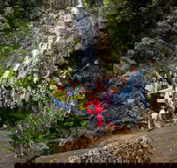 5-Day Lap of Tasmania Tour from Hobart flexible ticket - Sydney Tourism