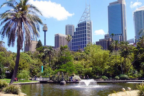 Private Sydney Half Day Tour Including Sydney Opera House And Bondi Beach - Sydney Tourism 4