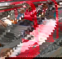 Full-Day Private Blue Mountains Tour with River Cruise - Sydney Tourism