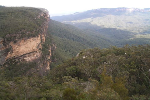 Full-Day Private Blue Mountains Tour With River Cruise - Sydney Tourism 3