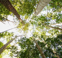 Fraser Island 4WD Tour from Noosa