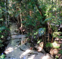 Fraser Island 4WD Tour from Rainbow Beach