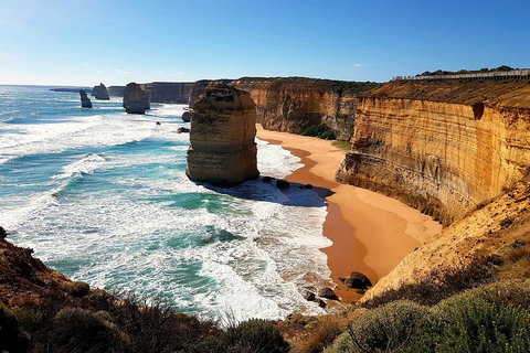 Helicopter Flight + Fine Dining Private Luxury Great Ocean Road Tour - Sydney Tourism 4