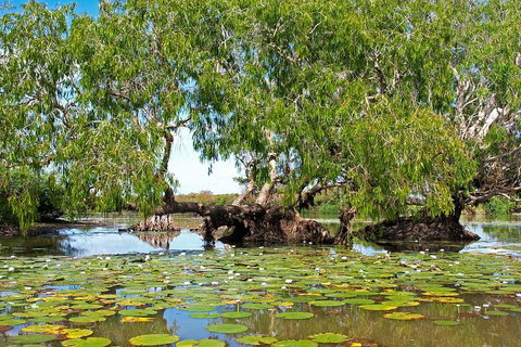 Ethical Adventures - Best In The WET - Litchfield / Kakadu 3 Day- Max 10 Guests - Sydney Tourism 1
