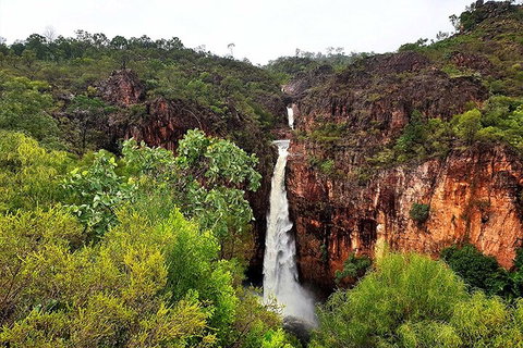 Ethical Adventures - Best In The WET - Litchfield / Kakadu 3 Day- Max 10 Guests - Sydney Tourism 2