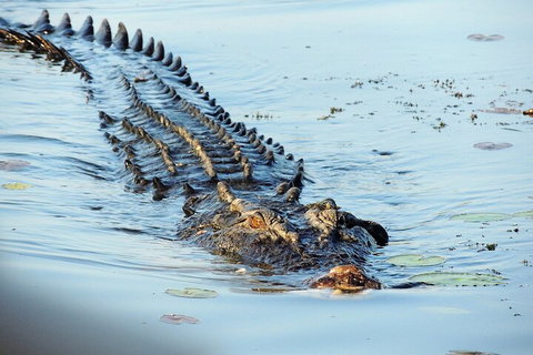 Ethical Adventures - Best In The WET - Litchfield / Kakadu 3 Day- Max 10 Guests - Sydney Tourism 4