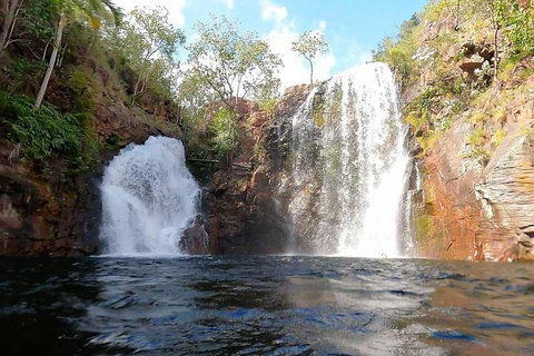 Ethical Adventures - Best In The WET - Litchfield / Kakadu 3 Day- Max 10 Guests - Sydney Tourism 5