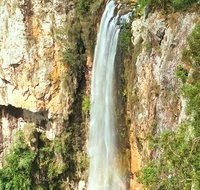 Private Tour - Rainforest  Waterfalls Extravaganza