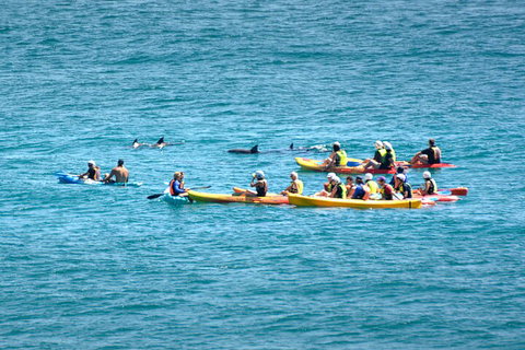 The Byron Bay Sea Kayak Tour - Sydney Tourism 1