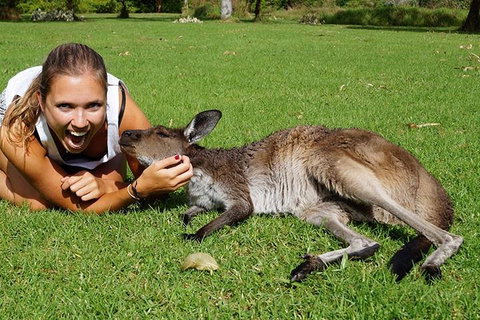 7-Day Tour In Sydney With Airport Pickup - Sydney Tourism 4