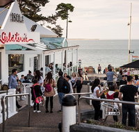Phillip Island and French Island Wildlife Expedition - Sydney Tourism