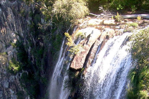 Byron Bay Combo: Hinterland Tour Including Minyon Falls And Kayaking With Dolphins - Sydney Tourism 3