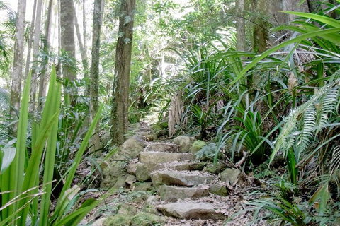 Byron Bay Combo: Hinterland Tour Including Minyon Falls And Kayaking With Dolphins - Sydney Tourism 5