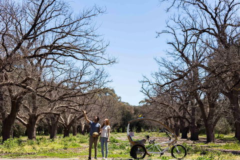 Adelaide 90-Minute Pedicab Tour: Scenic Green & River Experience - Sydney Tourism 1
