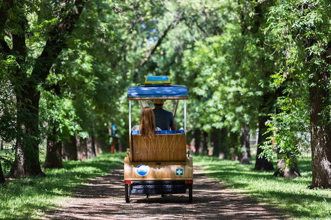 Adelaide 90-Minute Pedicab Tour: Scenic Green & River Experience - Sydney Tourism 2