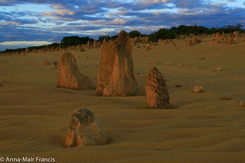 The Pinnacles, Sea And Dunescapes, Bush Reserve And Sunset Day Tour - Sydney Tourism 1