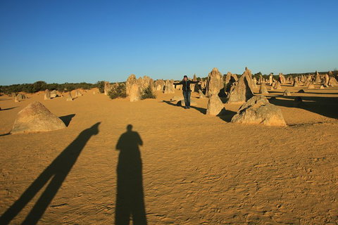 The Pinnacles, Sea And Dunescapes, Bush Reserve And Sunset Day Tour - Sydney Tourism 5