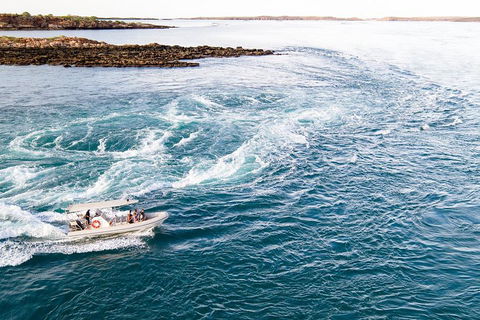 Giant Tides Tour - Cygnet Bay Pearl Farm - Sydney Tourism 4
