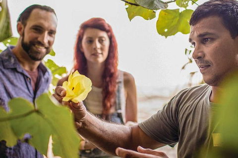 Ngana Julaymba Dungay - Full Day - Sydney Tourism 4