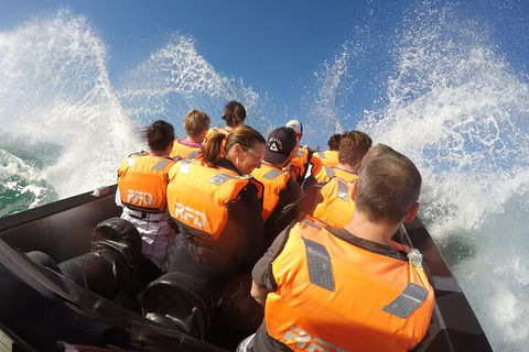 Noosa Thriller - 500hp Ocean Adventure Ride - Sydney Tourism 4