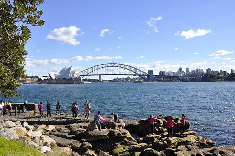 Sydney Sightseeing Bus Tours - Sydney Tourism 2