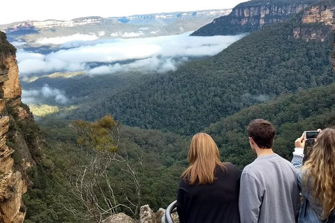 Blue Mountains Private Tour - Wild Kangaroos, Waterfalls And The Three Sisters - Sydney Tourism 3